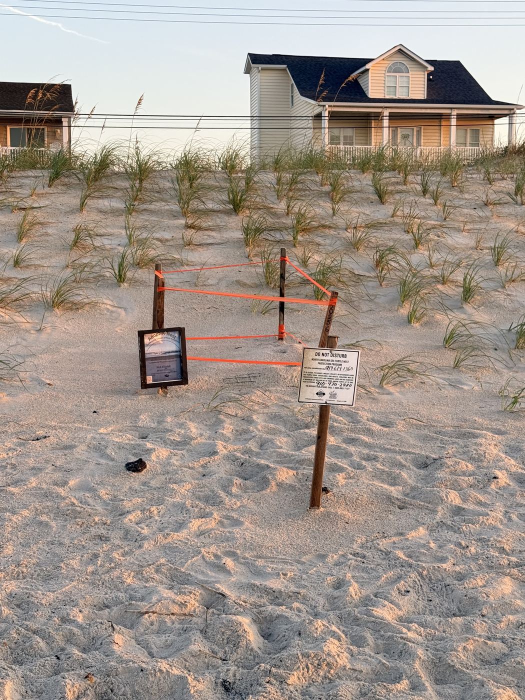 Protected sea turtle nest near Seaside Sanctuary